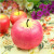 Simulation Apple Candle Christmas Eve Christmas Gift Fruit Aromatherapy Candle Stall Supply Decoration Artistic Taper and Candle