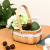 Wood Piece Small Flower Basket Portable Flower Basket Oval Small Flower Basket Succulents Flowers Flower Arrangement Basket