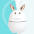 Creative new night rabbit humidifier three - in - one, multi - function usb mini cartoon express humidifier