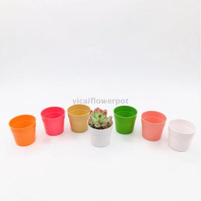 Y01-c mini international pot plastic flowerpot imitation porcelain flowerpot