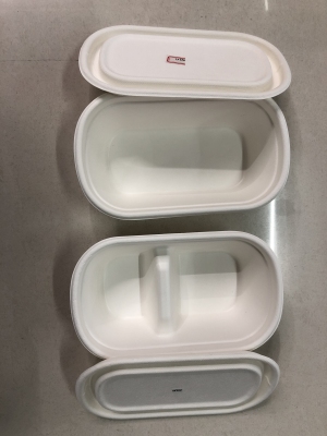 New Disposable Environment-Friendly Degradable Lunch Box