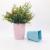 F122 square geometric basin plastic flowerpot miamine flowerpot imitation porcelain flowerpot