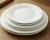 10 \\\"white western plate ceramic plate steak plate copy plate salad fruit plate\"