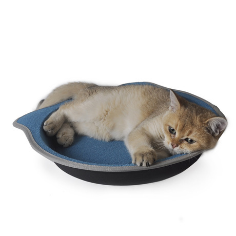 Pet Supplies Cat Scratch Board Cat Feeding Bowl Cat Litter No Slag Velvet Blanket Claw Grinding Tool Aluminum Pot Suit