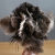 Dust duster duster mini ostrich mini feather duster household Dust duster