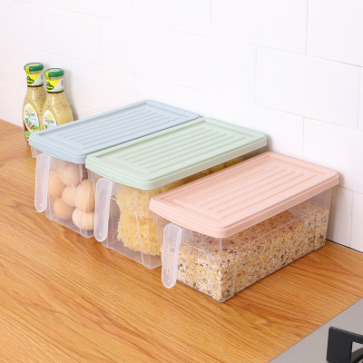 Plastic Storage Box with Handle Household Daily Crisper Refrigerator Fruit and Vegetable Food Organizing Storage Box Transparent Box