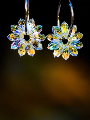 Swarovski crystal earrings, necklaces, high - end atmosphere on the class