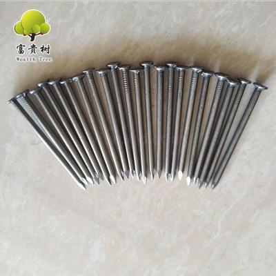 Factory Direct Sale 5cm6cm7cm8cm10cm Common Wire Nails Used in Wood Iron Wire