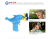 Douyin Same Style Bubble Blowing Toy Electric Fan Four-Hole Dolphin Bubble Gun Four-Nozzle Electric Dolphin Bubble Gun