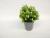New frosted basin with powder mantianxing artificial flower bonsai plant plastic flower simulation plant decoration