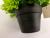 New black basin green leaf simulation flower fake flower bonsai simulation plant sitting room decorations