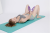 Popular ~ Home Multi-Functional Fitness Leg Master Yoga Training Clip Hip Portable Leg Trainer