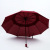 Umbrella Umbrella folding Umbrella manufacturer double-layer high-grade extra Large windproof pure hand sewing