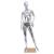 Electroplating Female Model Special Multi-Posture Optional Fashion Women's Clothing Store Model Display Stand Customizable Model Factory Direct Sales