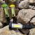 Cob Work Light Car Repair Led Safety Hammer with Magnet Repair Pickup Vehicle Emergency Light Strong Light Flashlight