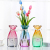 Glass Vase European-Style Simple Thick Lucky Bamboo Lily Household Vase Creative Living Room Restaurant Decoration Bottle