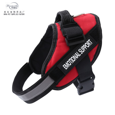 Pet Chest strap Dog Leash Customized personality English Character without Word Character Foreign Trade
