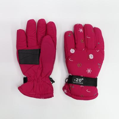 Ski gloves wholesale waterproof and windproof thermal gloves