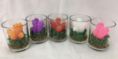 Glass scented cactus based