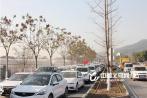 Car Craze and Upgraded Licensing Service in Yiwu