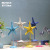New resin Starfish with Base Ocean Series hexagon Simulation Starfish decoration Set MA2112A-D