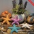 Five-finger Resin Small Starfish Ocean Series Small Starfish Home Furnishings Photography props MA2105/2104
