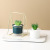 Nordic Porcelain Minimalist Iron Frame Succulent Flower Pot Moon Gold Plated Iron Flower Pot Living Room TV Cabinet Decoration