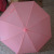 M1134 candy color eight bare-bones translucent umbrella with handle sun umbrella 9 9 wholesale Yiwu