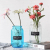 New Colorful Glass Vase New Chinese Creative Home Hydroponic Transparent Decorative Decoration Labeling Vertical Bar Vase