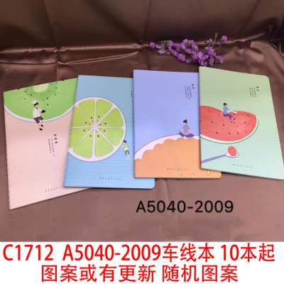 C1712 A5040-2009 Car Line 2 Yuan Store Wholesale
