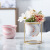 Nordic Creative Succulent Flower Pot Marbling Gold Iron Frame Ceramic Flower Pot Ins Home Decorative Flower Pot Wholesale