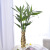 New Ceramic White Vase Decoration Modern Minimalist Creative Living Room Soft Home Decoration Size Flower Arrangement