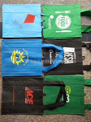 Portable Non-Woven Bag, Shopping Bag, Eco-friendly Bag