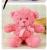 Plush Toy Grinding Ring Bear Doll Doll Suitable for Pushing Stall Factory Direct Sales