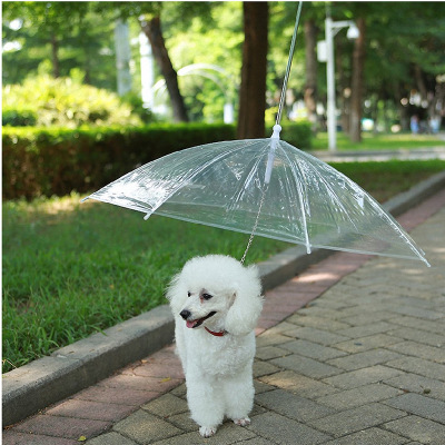 Hangzhou Hui pet umbrella Love Dogs and Cats Pet Rain Special Transparent umbrella manufacturer logo customization
