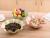 Lotus leaf fruit bowl plastic candy bowl living room Melon seed fruit bowl snacks fruit box household dry fruit bowl