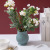 Nordic Innovative Plastic Flowerpot Accessories New floor resistant Vases Office Vases a number of multicolor Dry Vases