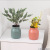 New creative Nordic style Home Dry and Wet Flower Container Plastic Hydroponic Vases Imitation Porcelain Imitation Glaze Fleshy Flowerpot