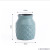 New creative Nordic style Home Dry and Wet Flower Container Plastic Hydroponic Vases Imitation Porcelain Imitation Glaze Fleshy Flowerpot