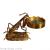American and European Style Home Ornament Model Room Soft Decoration Mantis Magnifying Glass Ornaments Pure Copper Study Desktop Furnishings