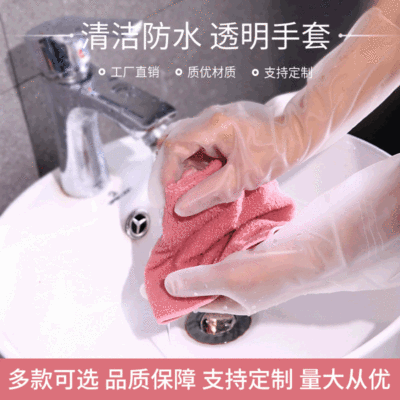 Manufacturers direct PVC household hygiene translucent gloves kitchen washing dishes cleaning waterproof gloves wholesale customization