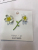 Silver Needle Korean version of the new actcamellia flower Simple Personality Flowers sweet versatile ear