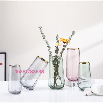 Transparent Glass Color Golden Edge Nordic Living Room Vase Decoration