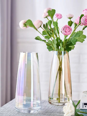 Nordic Glass Fresh Vase Decoration Modern Minimalist Living Room Transparent Multi-Color Hydroponic Flower Arrangement Long Desktop