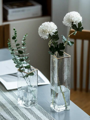 Nordic Light Luxury Transparent Glass Vase Home Living Room Dining Table Hydroponic Flower Modern Minimalist Ornament Decoration