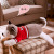 Husky Sweater Dog Doll Husky Plush Toys Large Simulation Pillow Children Doll Sleeping Sitting Dog