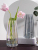 Nordic Glass Fresh Vase Decoration Modern Minimalist Living Room Transparent Multi-Color Hydroponic Flower Arrangement Long Desktop