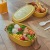 Double Japanese Oval lunch box to take to work lunch box students dining room box Tableware mixed color lunch box 700ml
