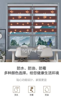 Factory Direct Sales High-End Shading Soft Gauze Curtain Office Home Curtain Louver Curtain Dimmable Shading Roll