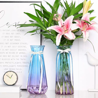 Glass Vase Transparent Hydroponic Rich Bamboo Lily Vase Living Room Vase Ornaments